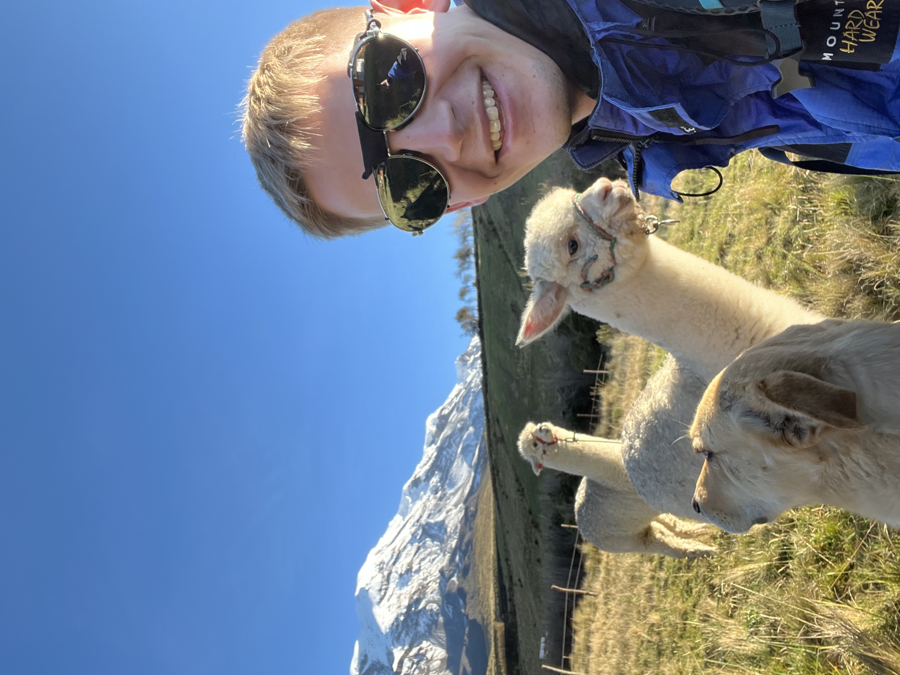 Two llamas, one dog, me, and Chimborazo from the base camp (3800m)
